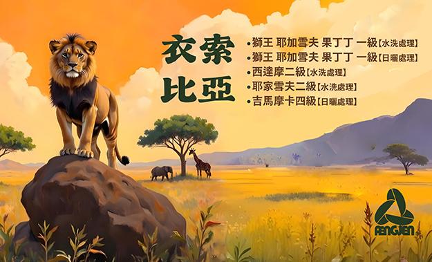 衣索比亞新到貨