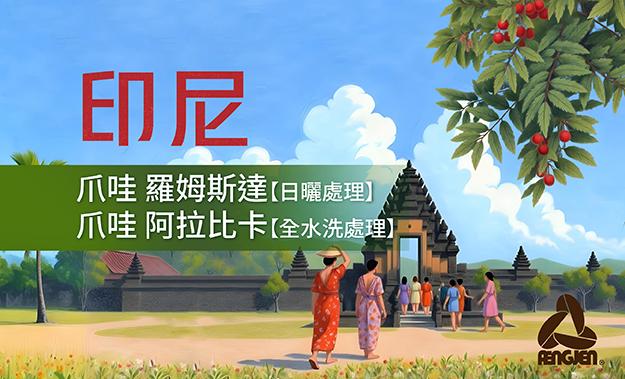 印尼新到貨