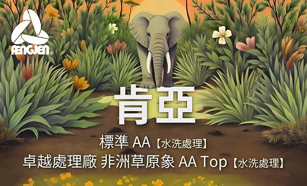 肯亞新到貨