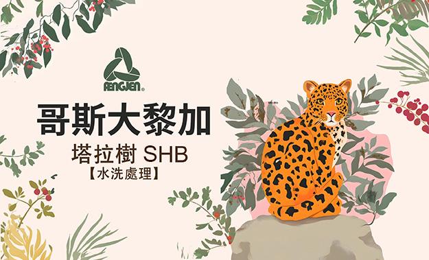 哥斯大黎加新到貨