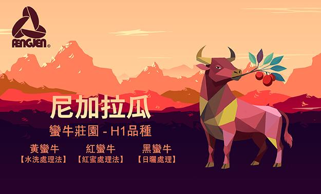 尼加拉瓜新到貨