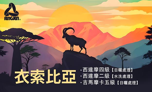 衣索比亞新到貨