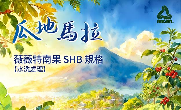 瓜地馬拉新到貨