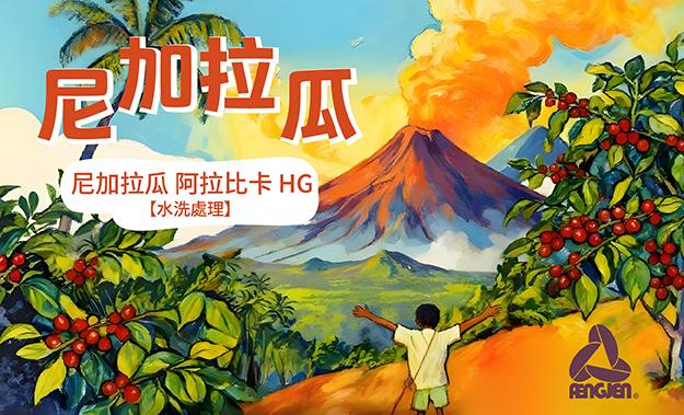 尼加拉瓜新到貨