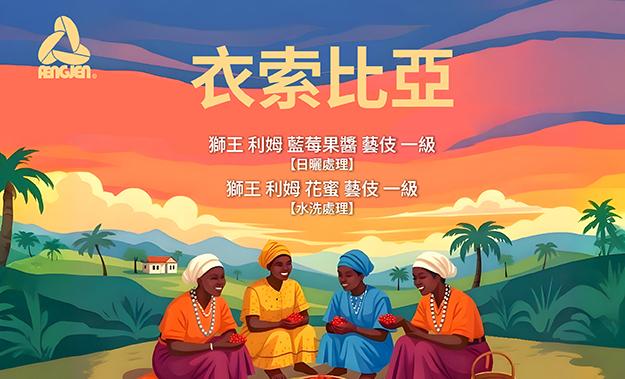 衣索比亞新到貨