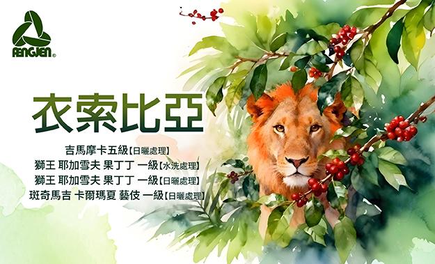 衣索比亞新到貨