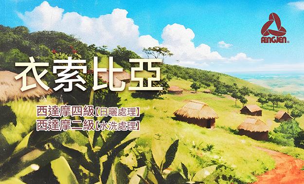 衣索比亞新到貨