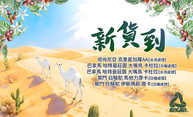 新貨到!