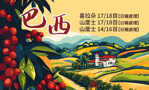 巴西咖啡生豆新到貨
